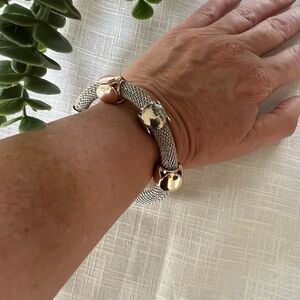 Pandora’s Box Chunky Charm Mesh Bracelet Rose Gold Gold Silver in Color EUC